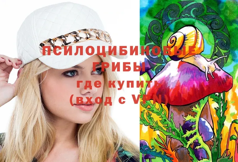 хочу   Электроугли  mega как зайти  Галлюциногенные грибы Cubensis 